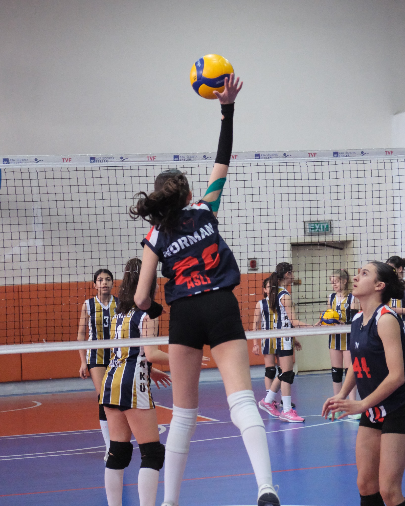 Norman formalı voleybolcu file önünde topa uzanıyor.